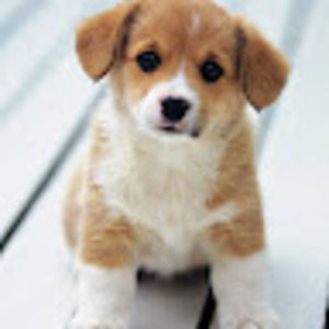 Meet your Posher, Rhyann